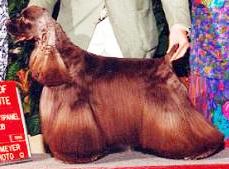 Ashleysown Kahlua