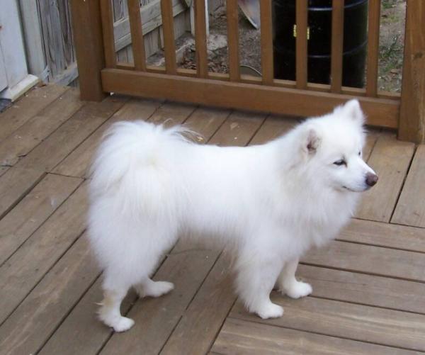 Harlow Appalachian Yukon Frost