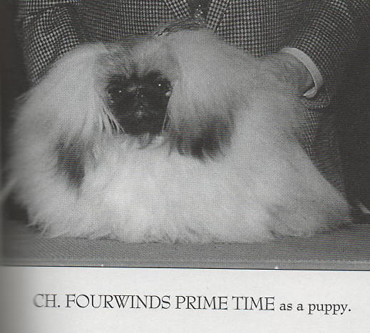 Fourwinds Prime Time