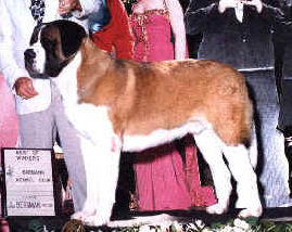 Subira's Buster Brown