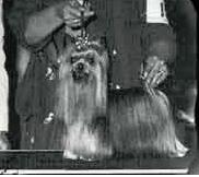 Barbee Ten Speed