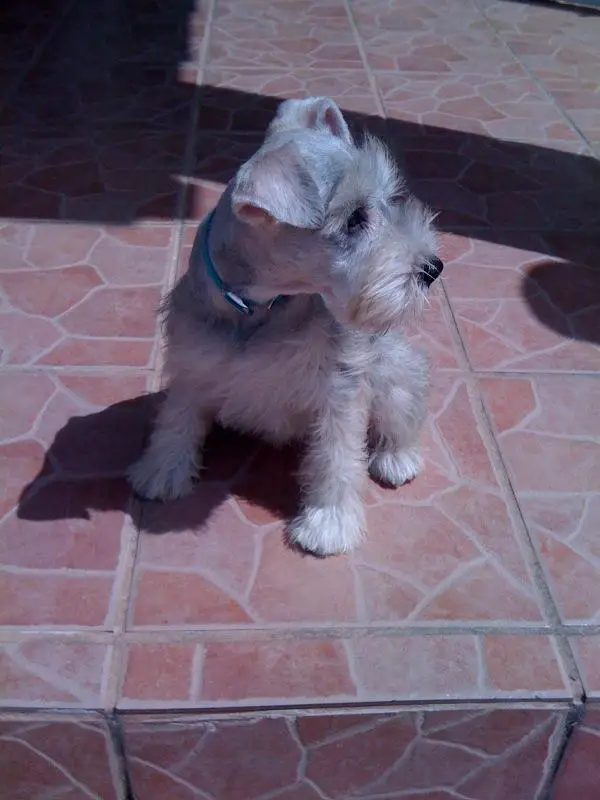 Cloe Nazario