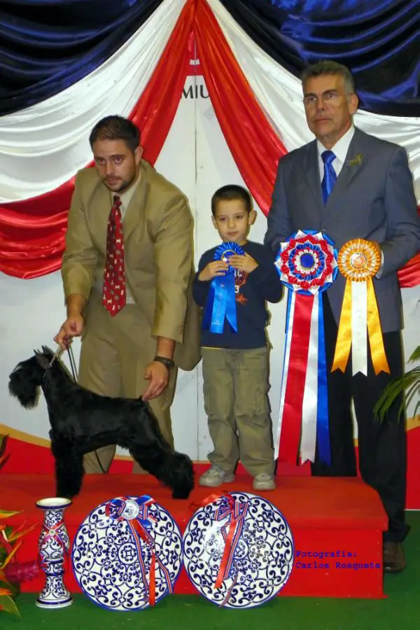 Dog-Othos Braulio