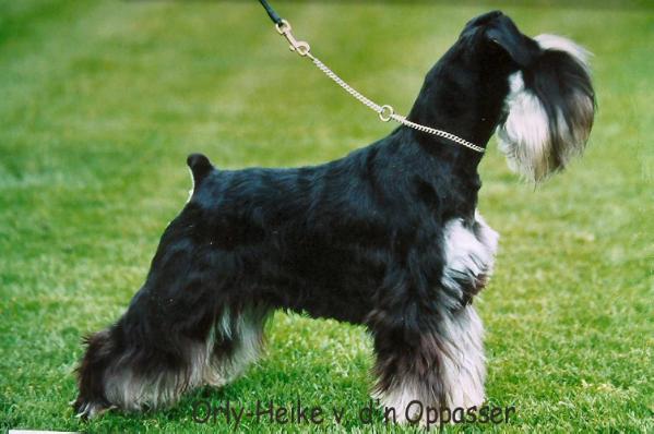 Orly-Heike van d'n Oppasser