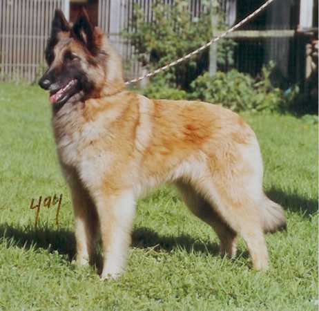 High Clearings Zenobie