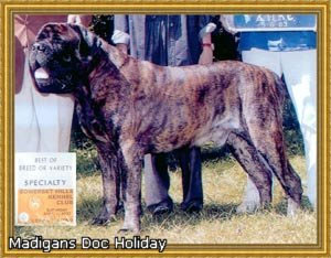 Madigans Doc Holiday