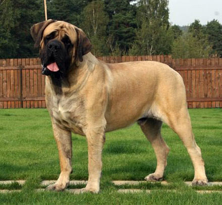 Barnaby Brullemail