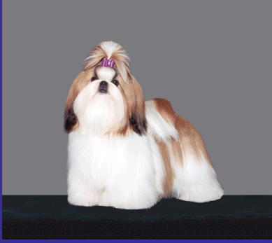 Xeralane's To Die For