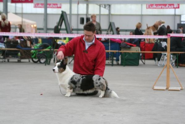 waggerland cardigans