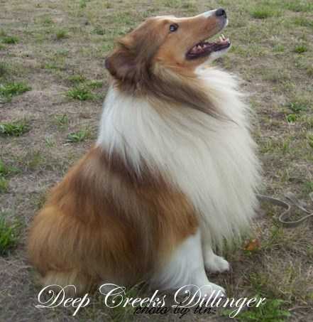 Deep Creek's Dillinger