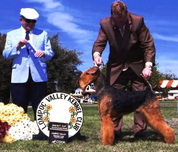 Blackheath's Ruffian
