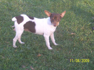 Green Acres' RJ Remember'N'JR