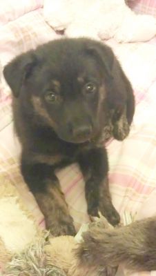 Her first night at her new home