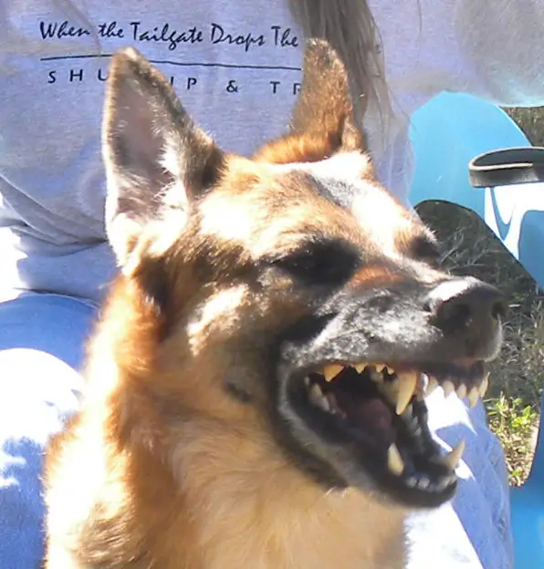 An image
