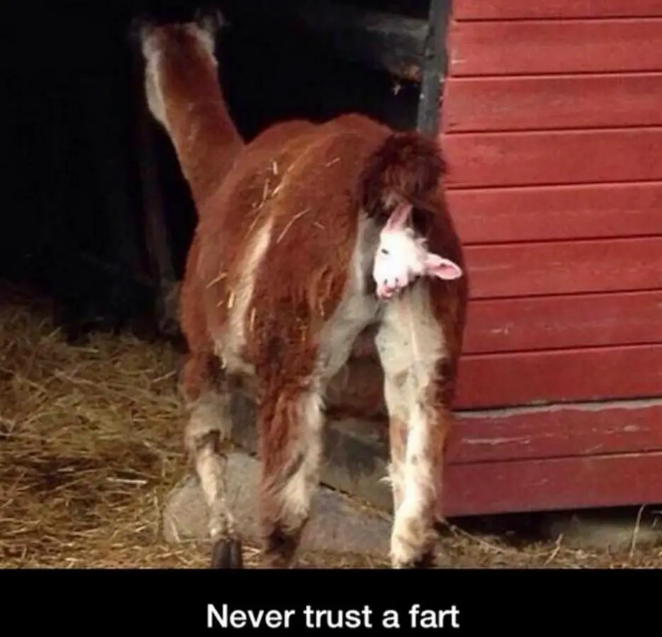 An image