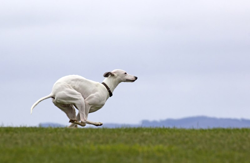 An image