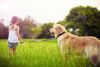 Young girl with old dog