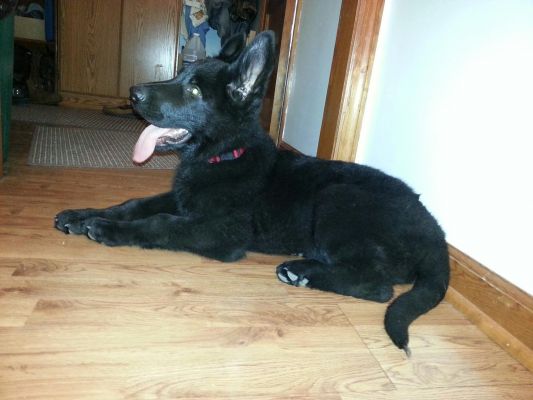 Here is a recent picture of my messy boy. just for fun. 