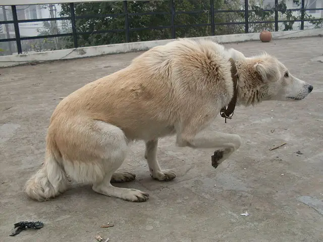 An image