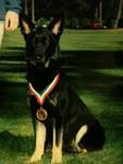 Trouble at 3yrs, we lost her 1yr ago at the good old age of 13yrs.