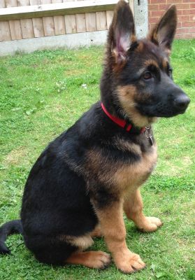 15 weeks still.
