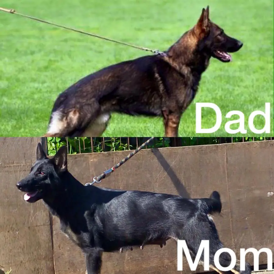 An image