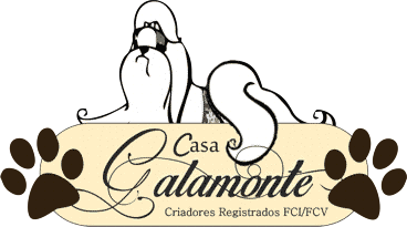 Casa Galamonte Criadores ShihTzu Registrados FCV/FCI