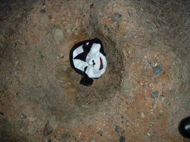 An image