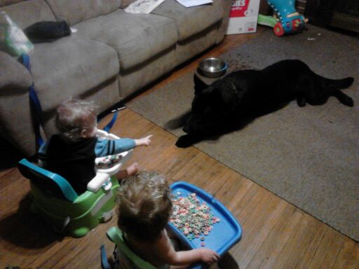 Demo and his boys...they miss him to much!