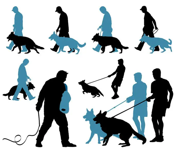 CAD image of various GSDs in training