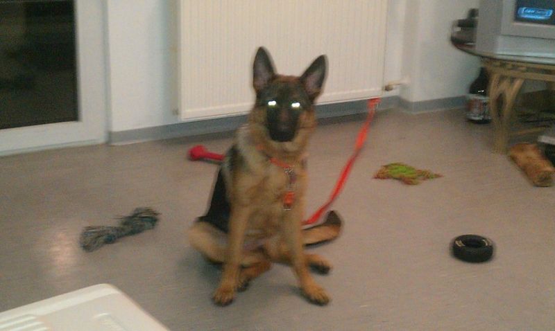 toska