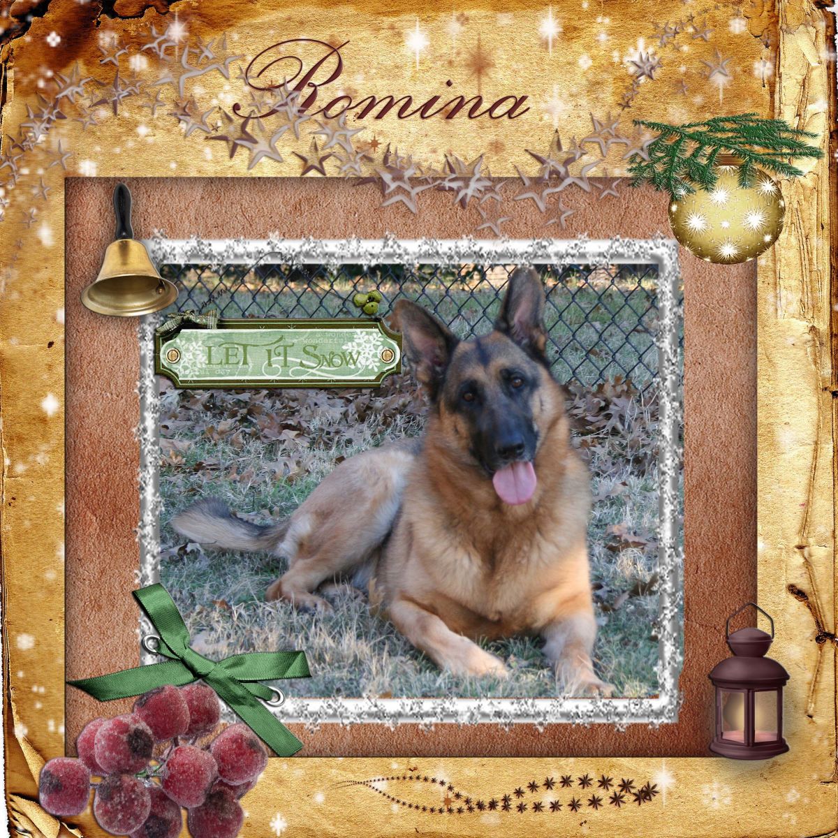 Romina vom Venusmond