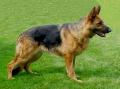 Billy3453