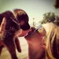 HennessyGSD