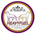 HeavyFuel