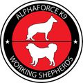 ALPHAFORCE