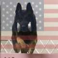 CherLynGSD