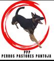 PANTOJA