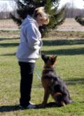 vomsteinhund