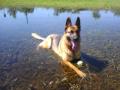 GSD4ME