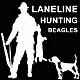 Laneline