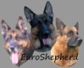 EuroShepherd