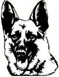 Mikerose GSD