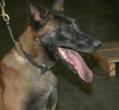 k9lass