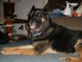 Cruzer