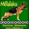 MILLALAKU