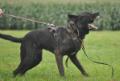 mnk9security