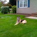 cody0005